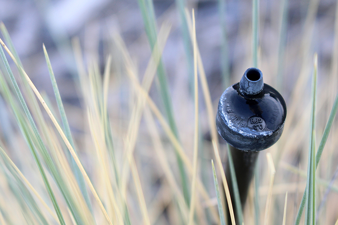 Photo of a drip irrigation system