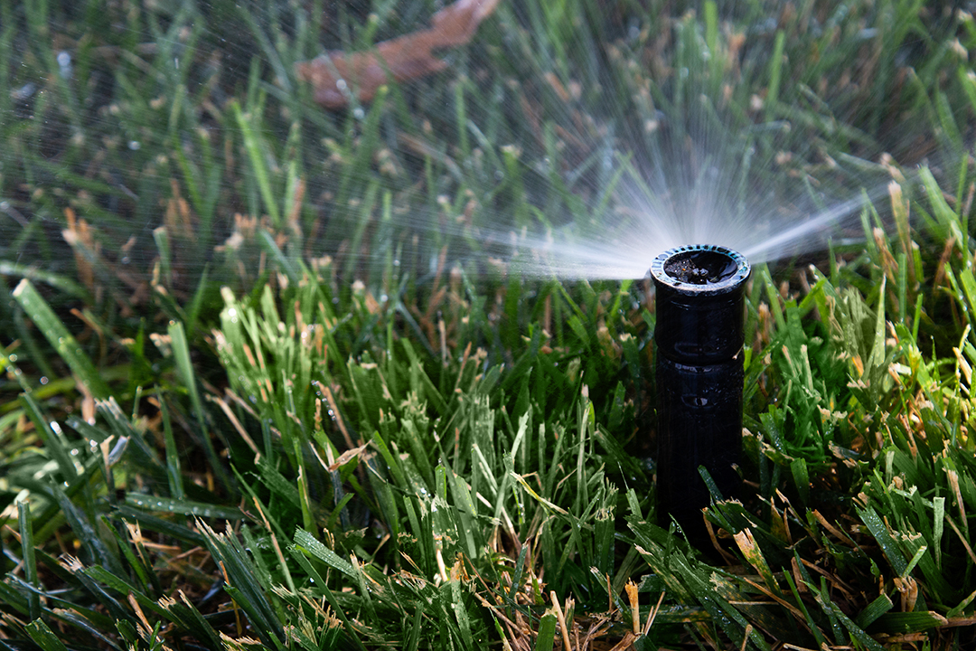 Image of a sprinkler nozzle watering grass